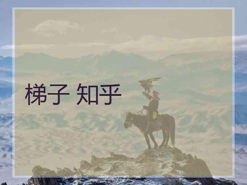 梯子 知乎
