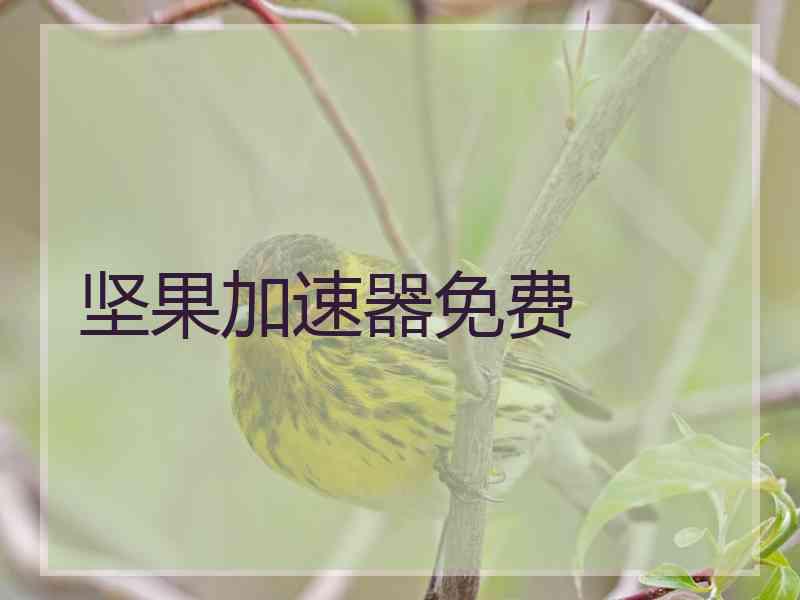 坚果加速器免费