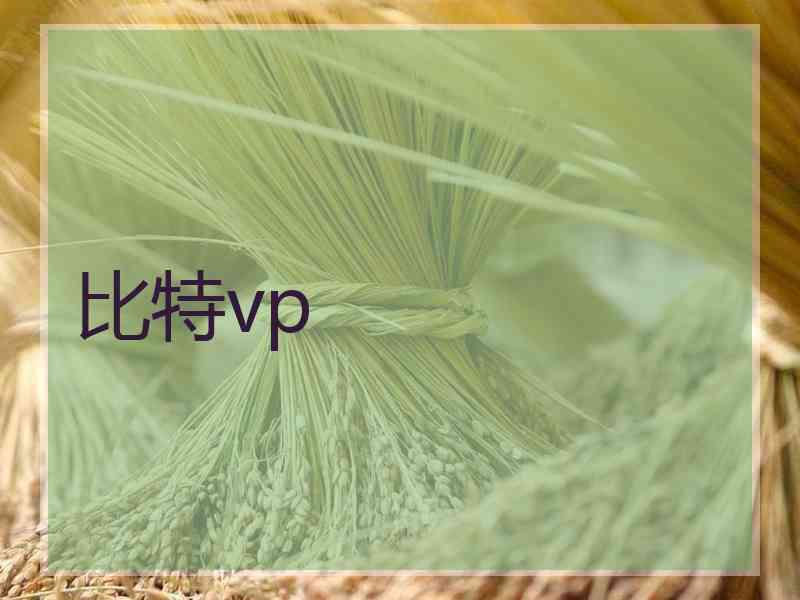 比特vp