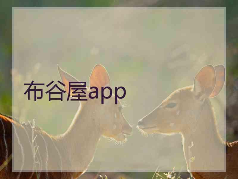 布谷屋app