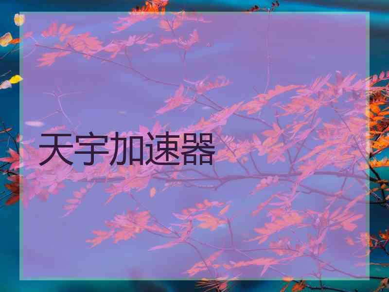 天宇加速器