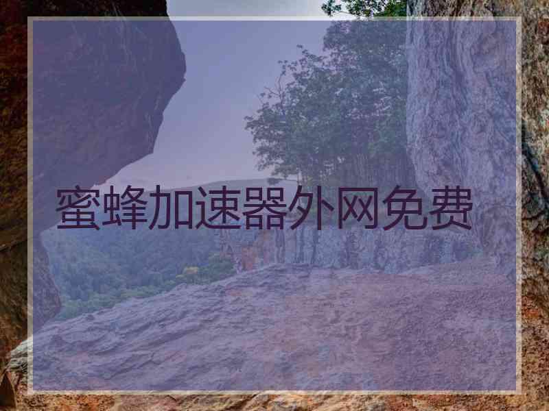 蜜蜂加速器外网免费