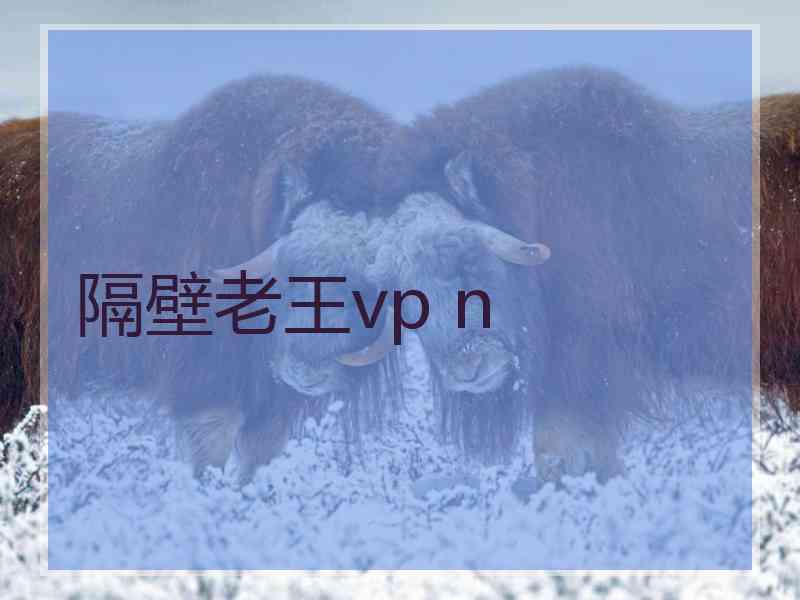 隔壁老王vp n