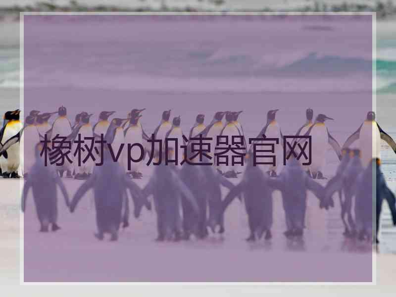 橡树vp加速器官网