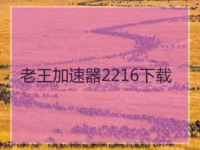老王加速器2216下载