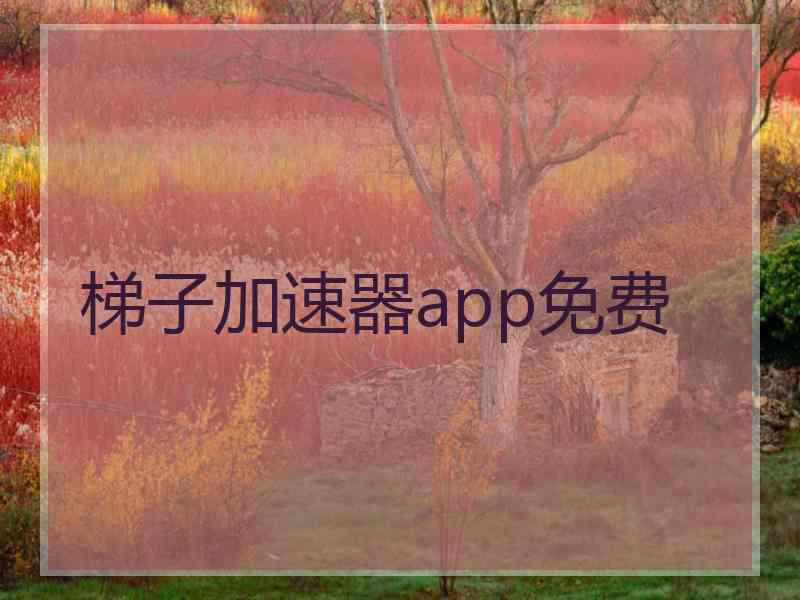 梯子加速器app免费