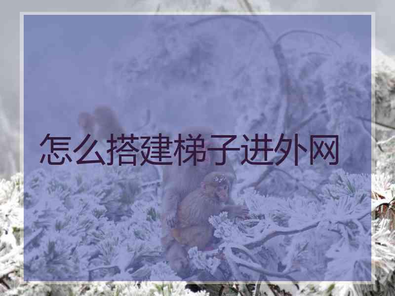 怎么搭建梯子进外网