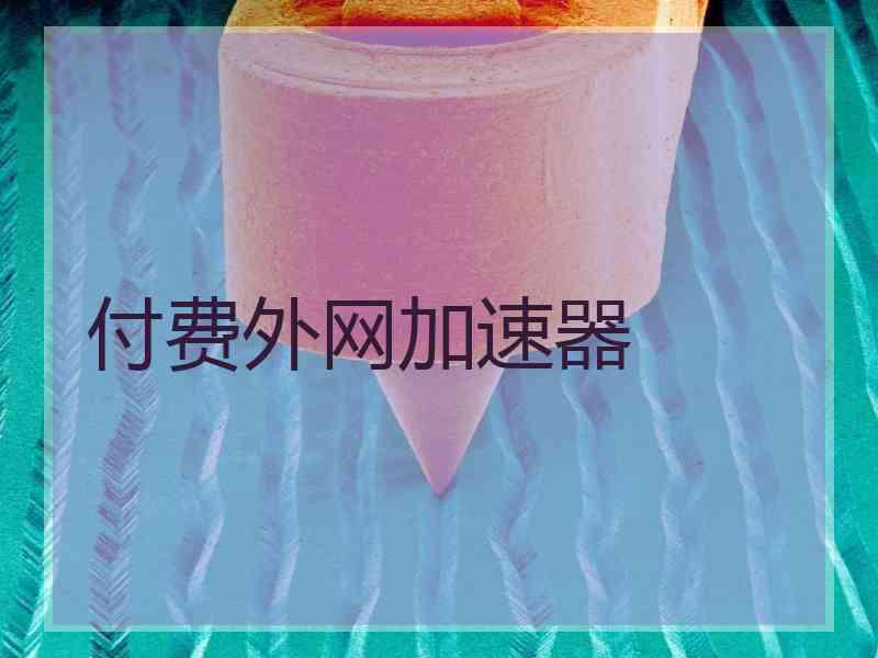 付费外网加速器