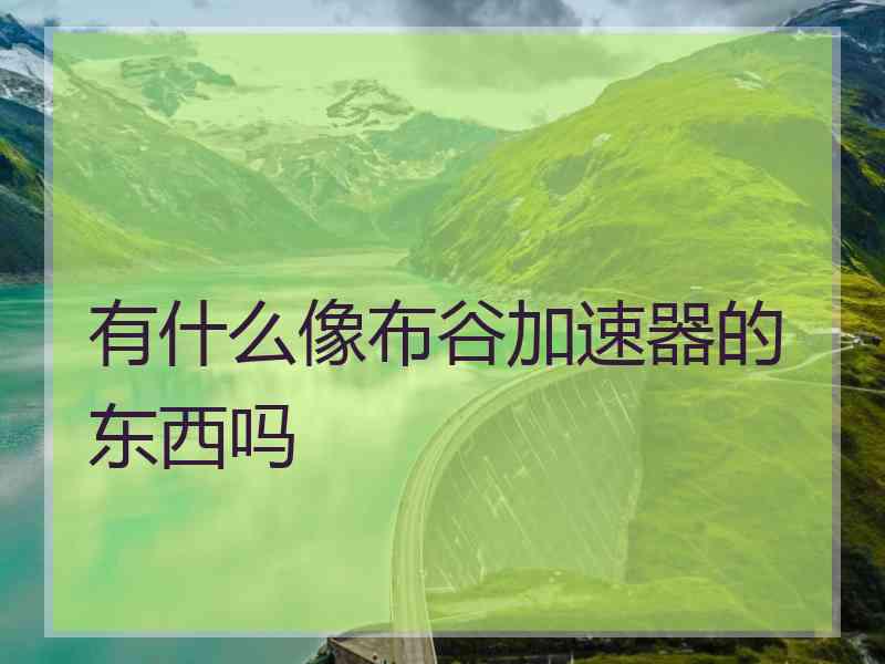 有什么像布谷加速器的东西吗