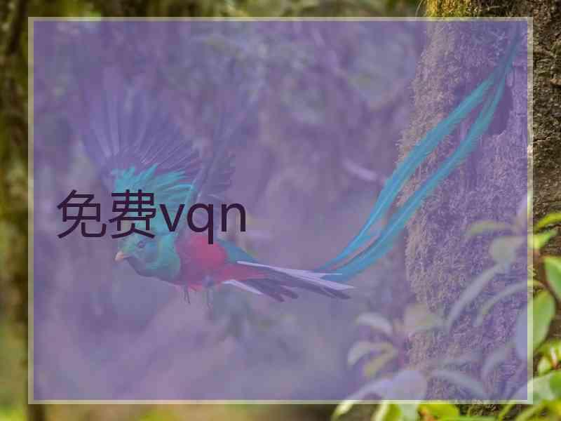免费vqn
