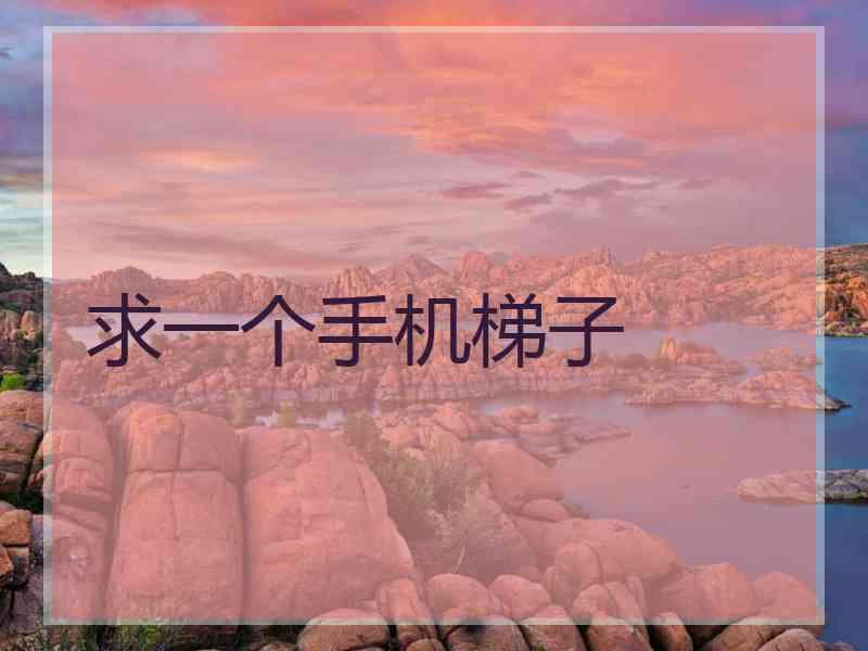 求一个手机梯子