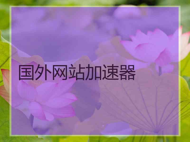 国外网站加速器