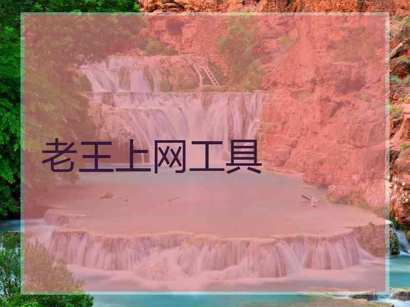 老王上网工具