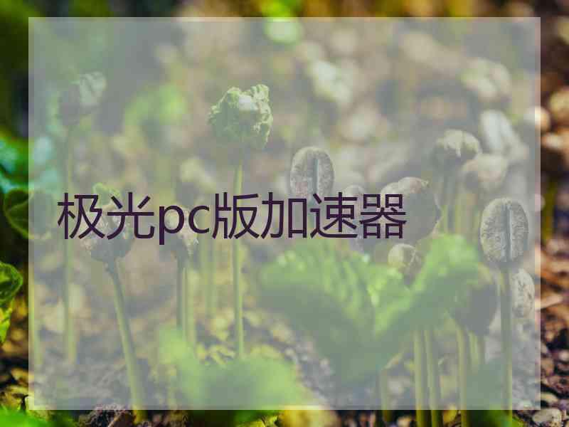 极光pc版加速器