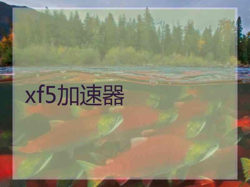 xf5加速器