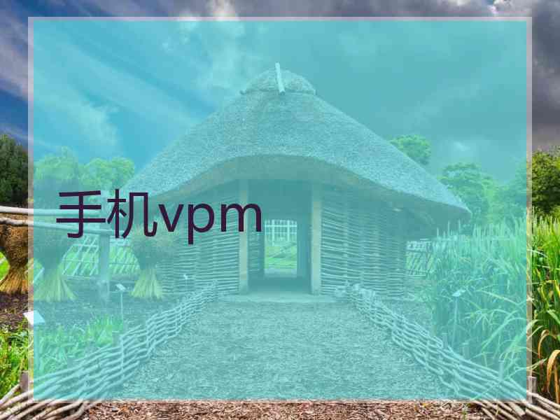 手机vpm