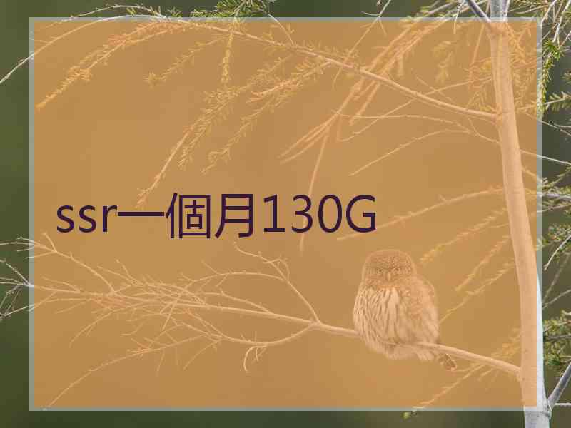 ssr一個月130G