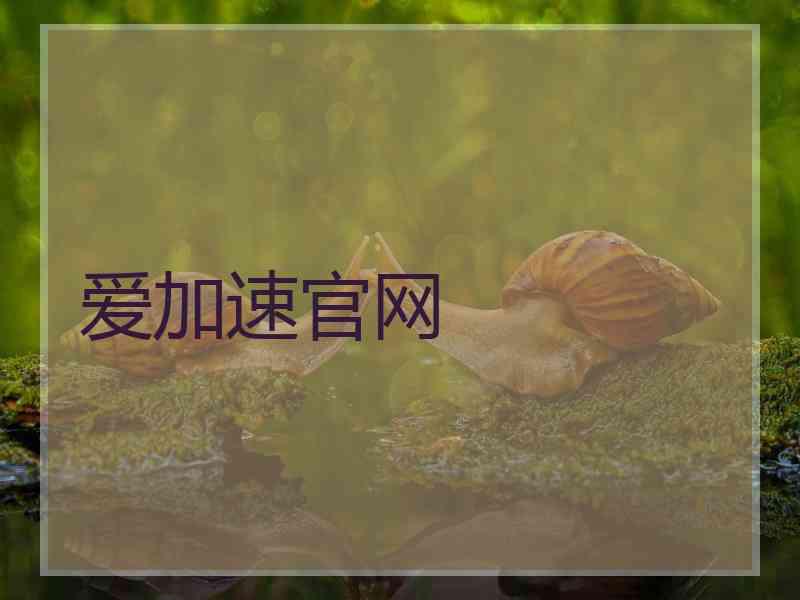 爱加速官网