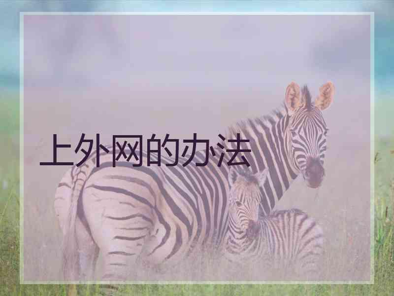 上外网的办法