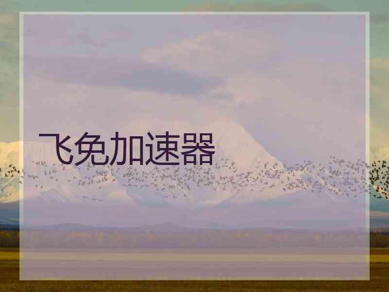 飞免加速器