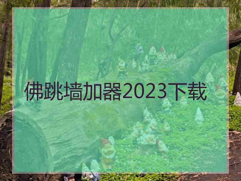 佛跳墙加器2023下载