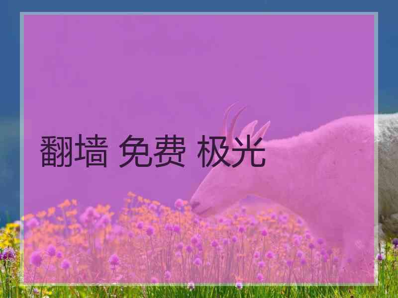 翻墙 免费 极光
