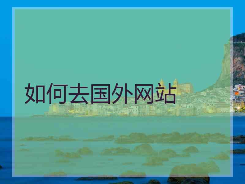 如何去国外网站