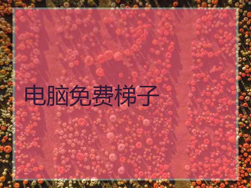 电脑免费梯子