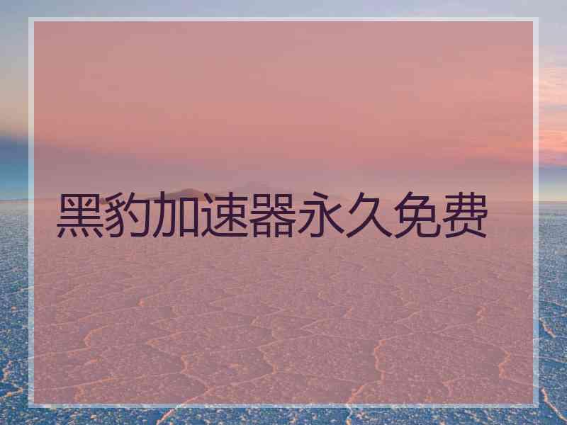 黑豹加速器永久免费
