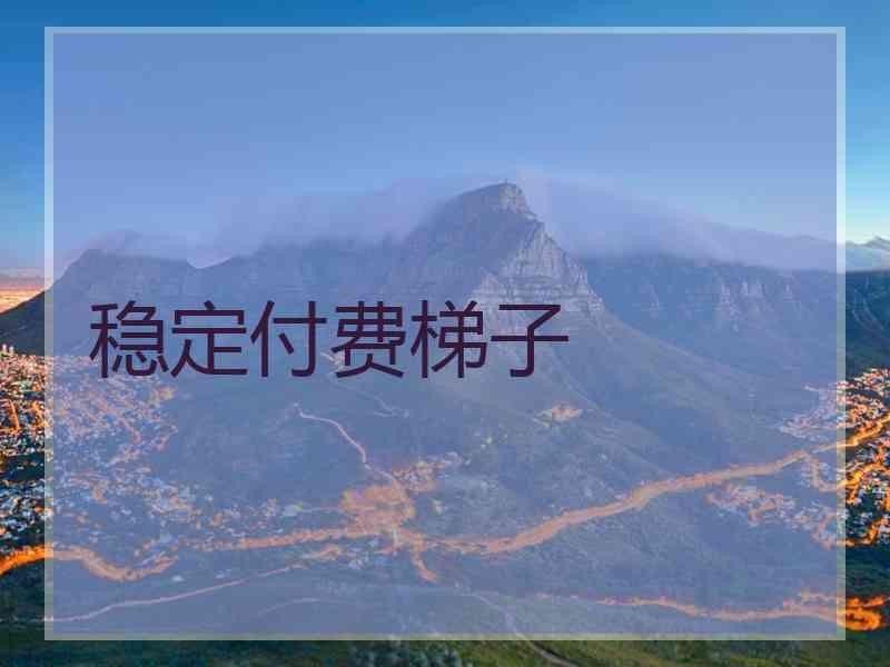 稳定付费梯子