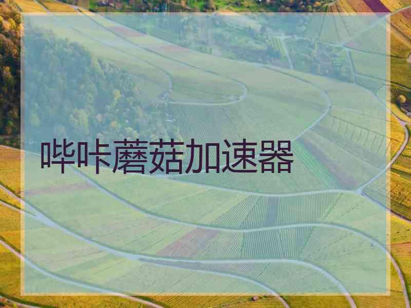 哔咔蘑菇加速器