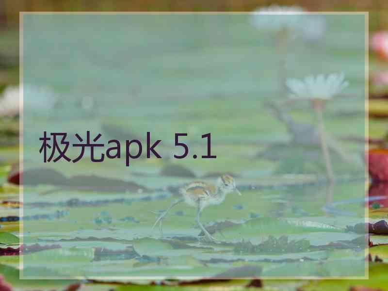 极光apk 5.1