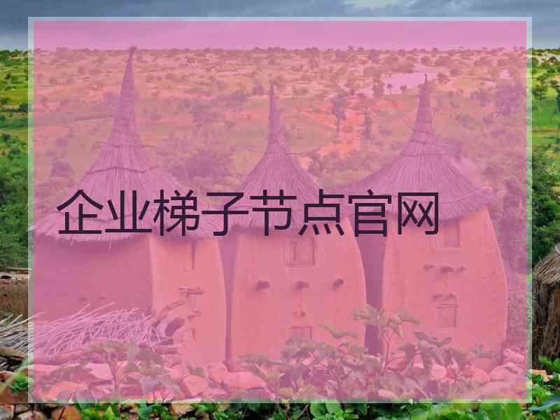 企业梯子节点官网