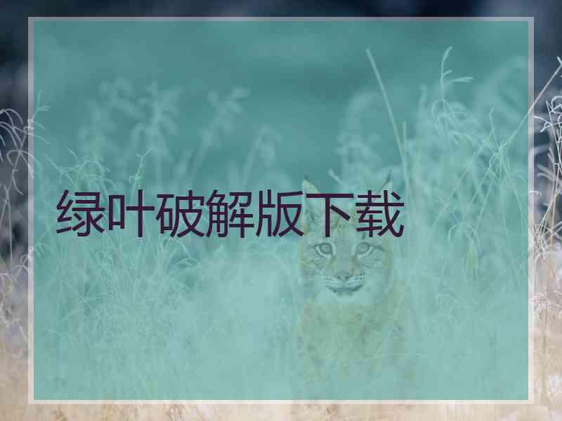 绿叶破解版下载