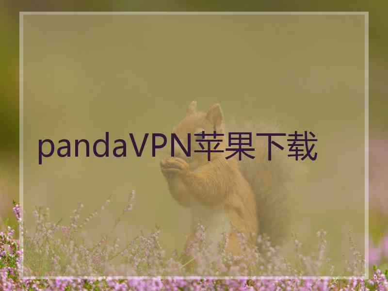 pandaVPN苹果下载
