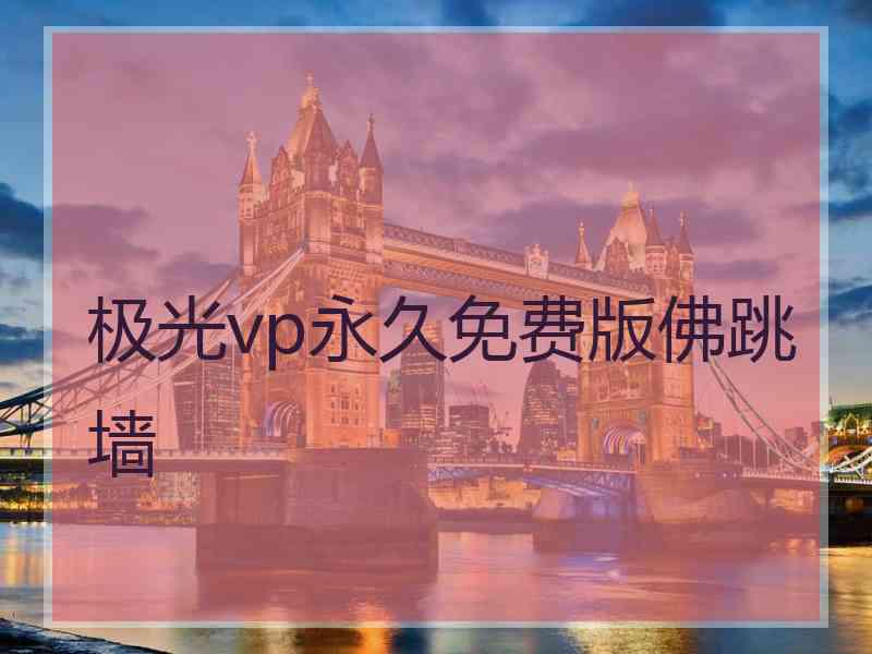 极光vp永久免费版佛跳墙