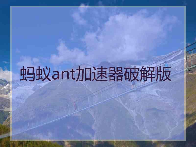 蚂蚁ant加速器破解版