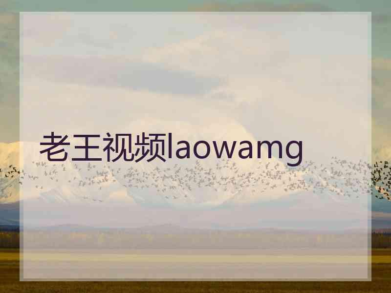 老王视频laowamg