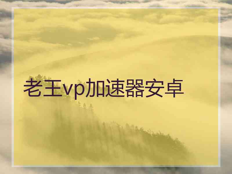 老王vp加速器安卓