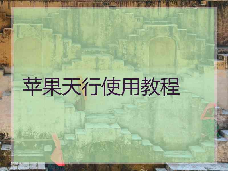 苹果天行使用教程