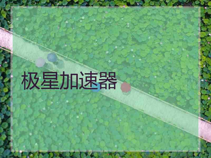 极星加速器