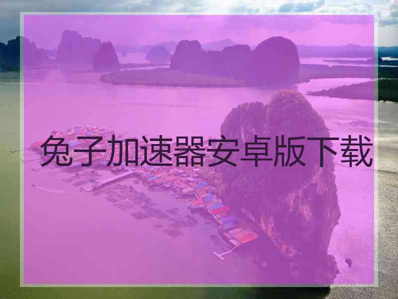 兔子加速器安卓版下载
