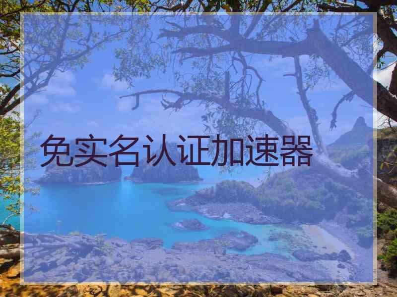 免实名认证加速器