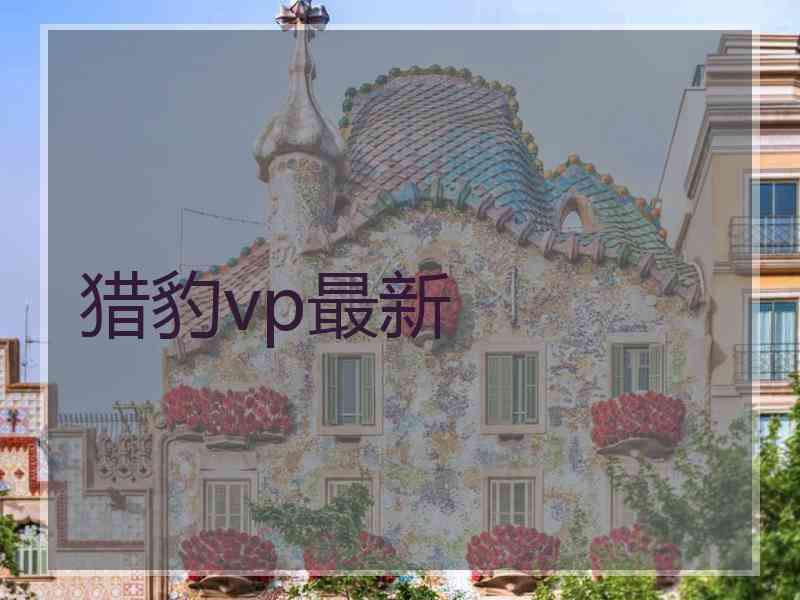 猎豹vp最新