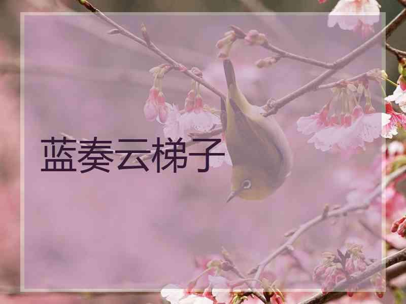 蓝奏云梯子