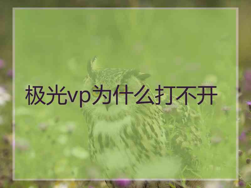 极光vp为什么打不开