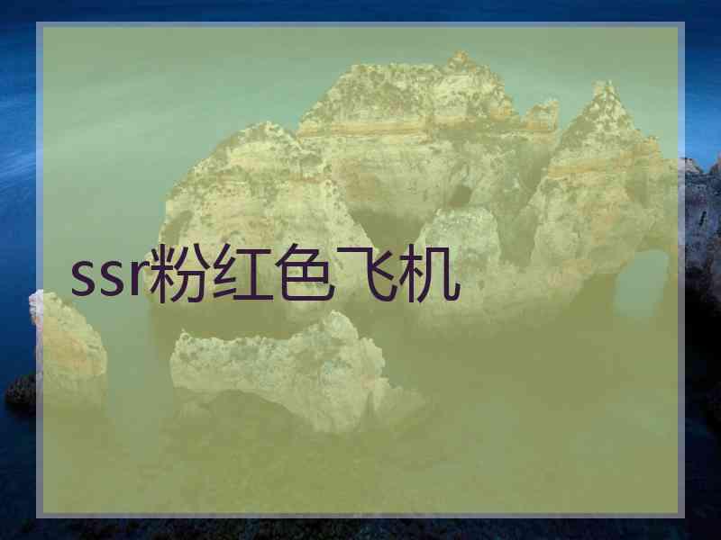 ssr粉红色飞机
