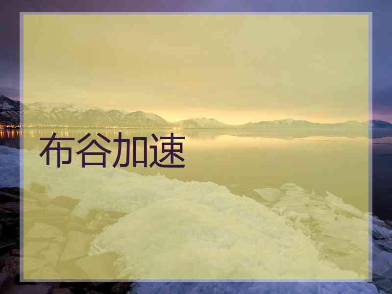 布谷加速