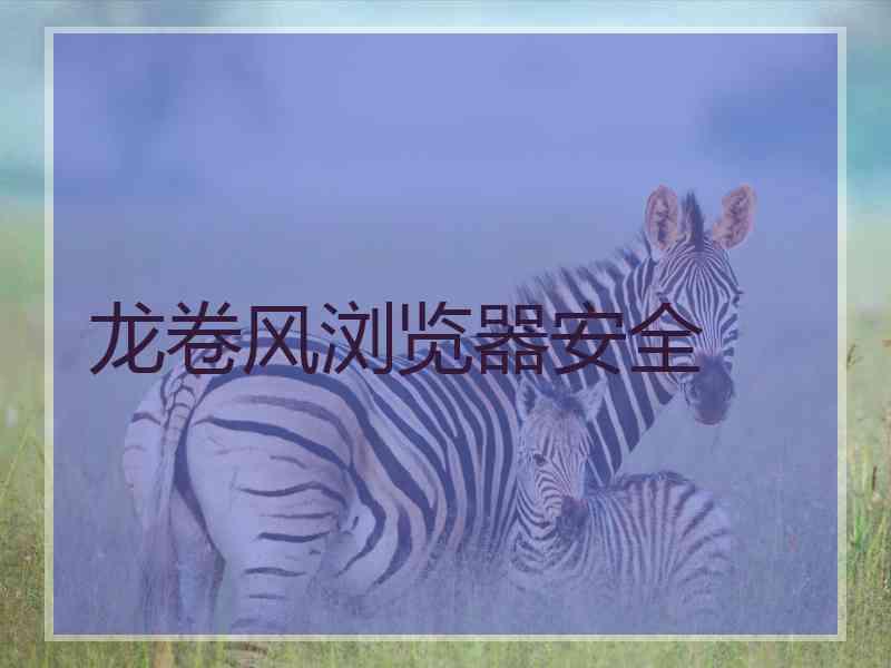 龙卷风浏览器安全