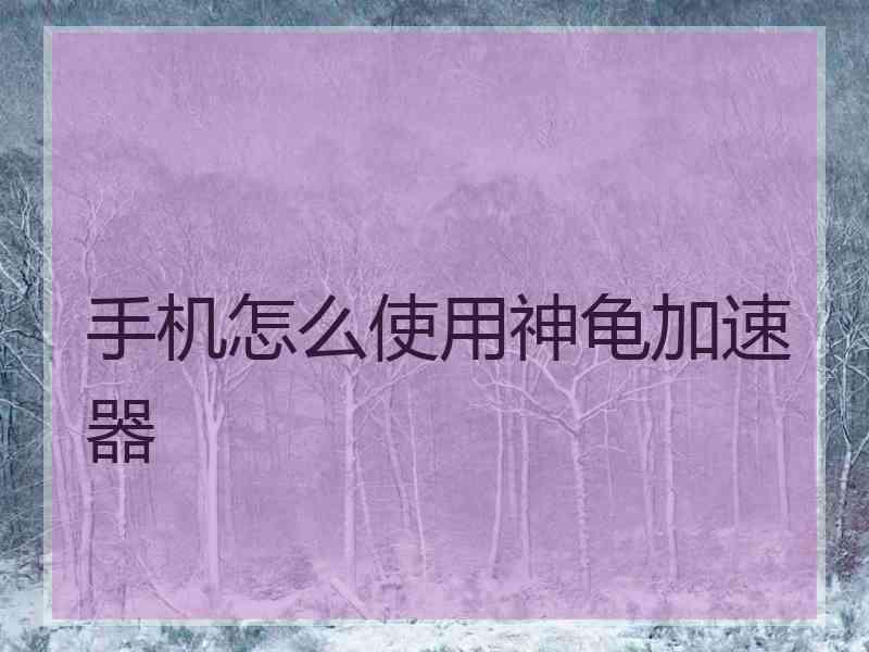 手机怎么使用神龟加速器
